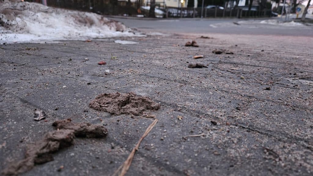 Widok na zabrudzone chodniki z widocznymi odchodami ps&oacute;w i błotem, w tle osiedle i zima.