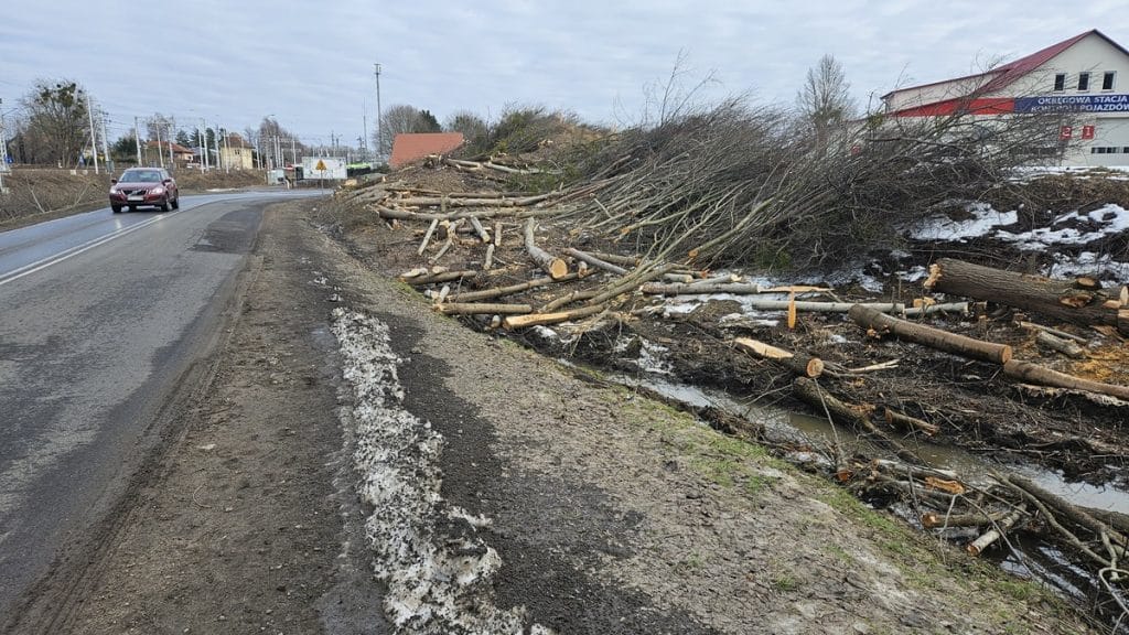 Przydrożny odcinek z wyciętymi drzewami i rozkopaną ziemią, obok ruchliwa droga w Olsztynie.