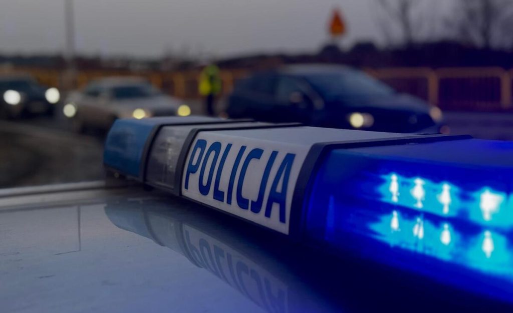 Policja na drodze podczas kontroli, w tle samochody i funkcjonariusze.