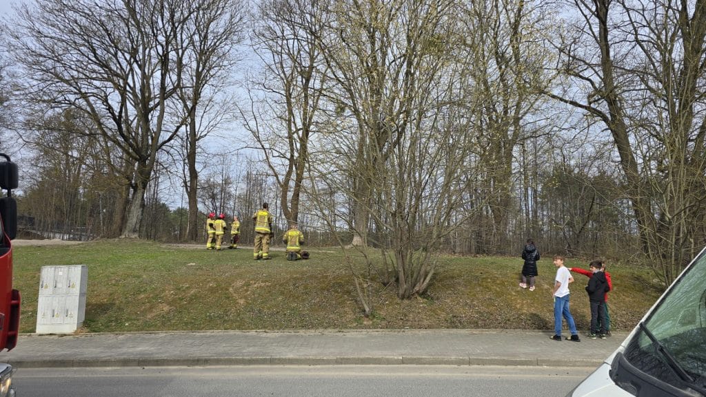 Strażacy na osiedlu Likusy podczas akcji ratunkowej w Niedzielę Wielkanocną, wok&oacute;ł drzewa i mieszkańcy obserwują wydarzenie.