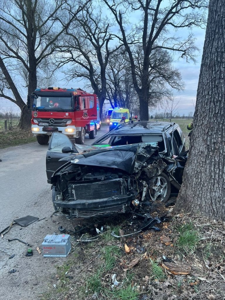 Rozbity samoch&oacute;d o drzewo na drodze, w tle służby ratunkowe i zgaszone światła, w okolicy drzewa i pola.