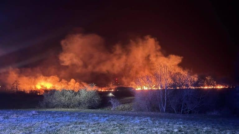 Pożar trzcinowiska na Mazurach, widok z oddali z dużymi kłębami dymu i płomieni nocą.