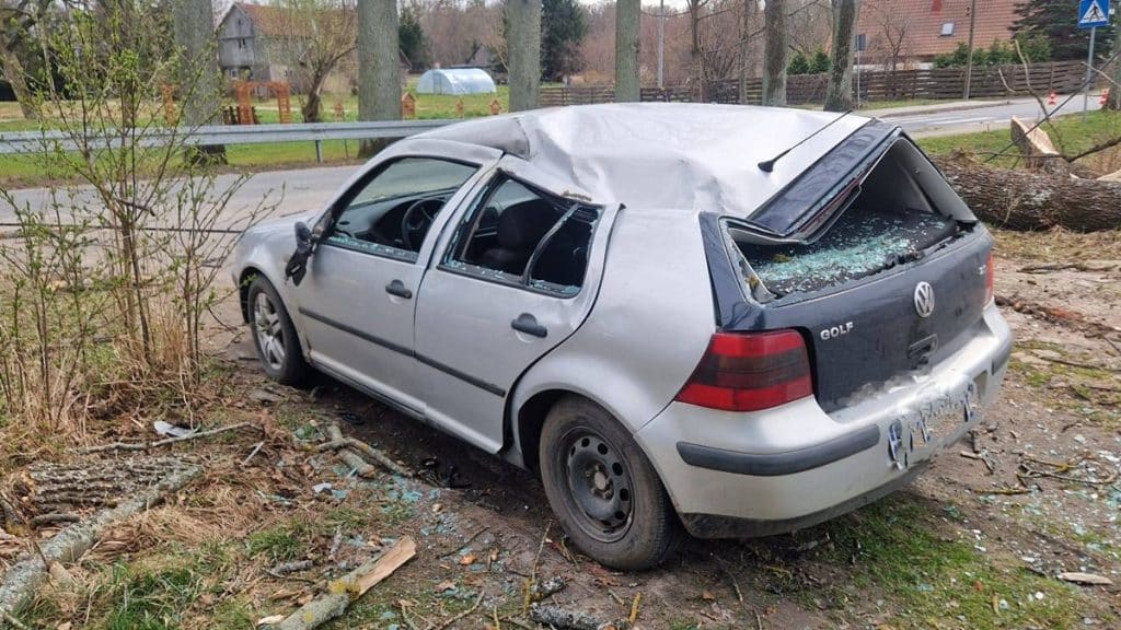 Uszkodzony samoch&oacute;d po przewr&oacute;ceniu się drzewa na drodze w miejscowości Skłody.