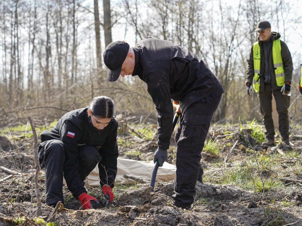 Grupa os&oacute;b sadzi drzewa w lesie podczas wydarzenia na Mazurach, w tle drzewa i wiosenna przyroda.