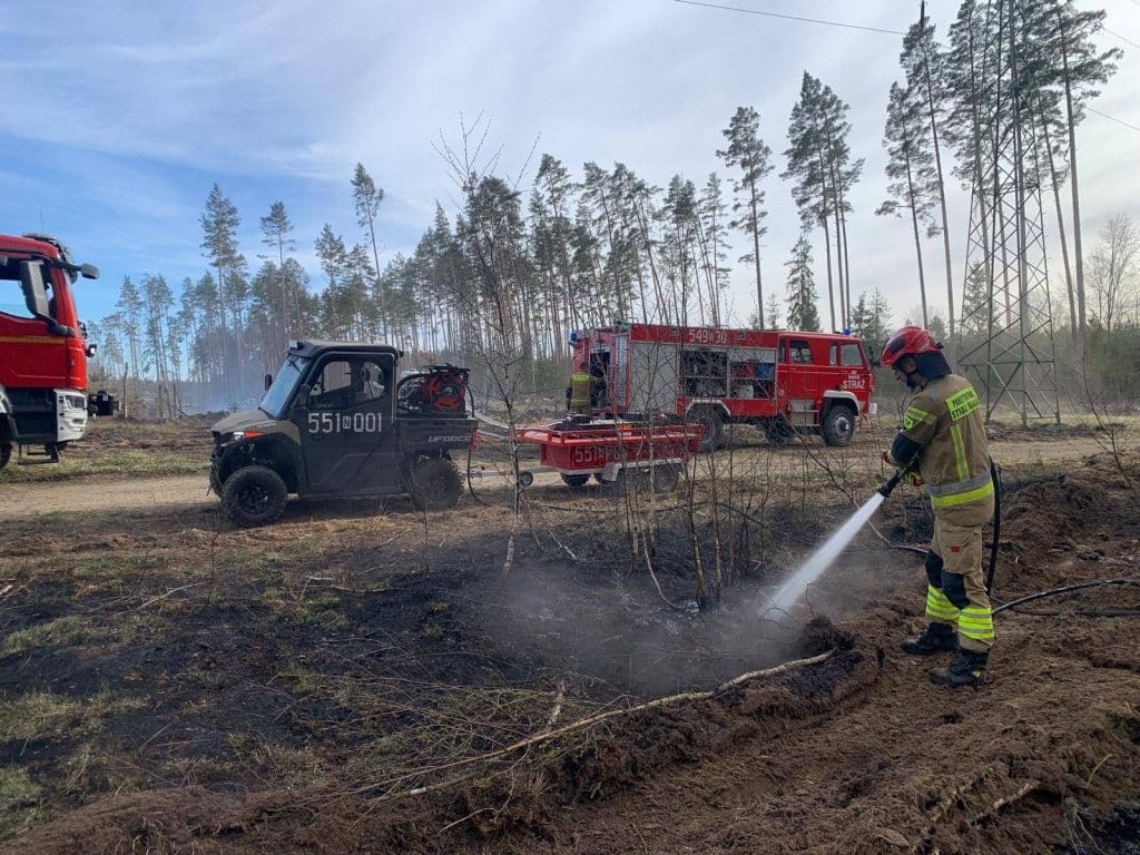 Strażacy gaszą pożar lasu na Mazurach, w tle drzewostan i słupy wysokiego napięcia.