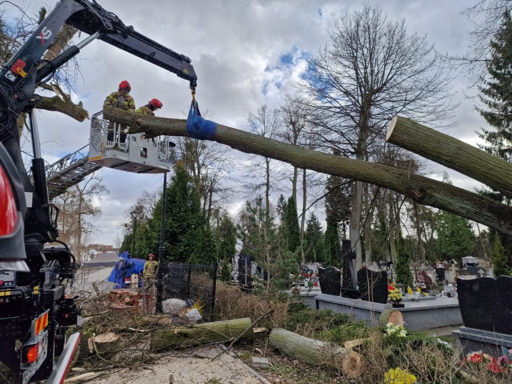 Strażacy usuwają powalone drzewo na cmentarzu podczas interwencji po wichurach.
