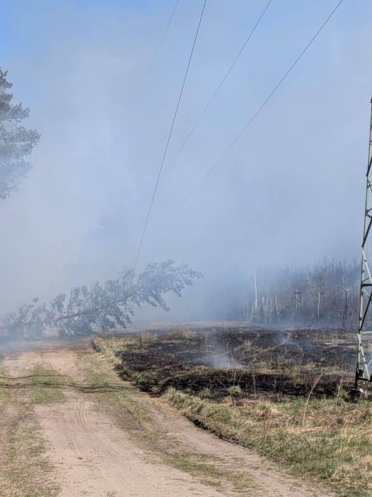 Pożar lasu na Mazurach, widok na płonący teren i dym unoszący się w powietrzu.