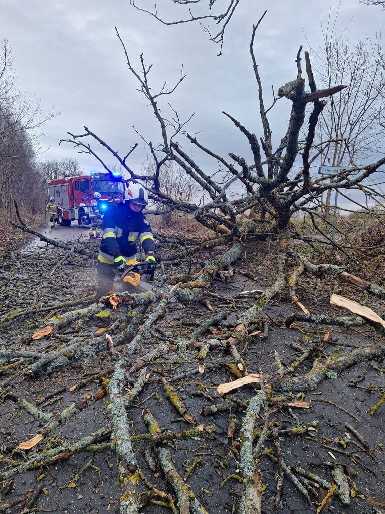 Strażacy usuwają powalone gałęzie i drzewo po wichurze na drodze, w tle pojazd ratunkowy.