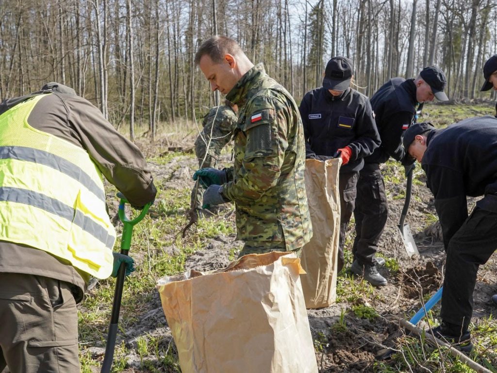 Grupa ludzi sadzi drzewa w lesie na Mazurach, w tle drzewa i niebo.