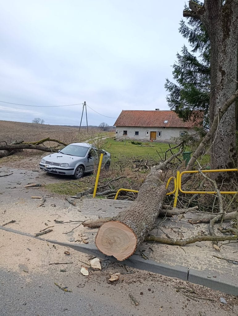 Przewr&oacute;cone drzewo na samoch&oacute;d i słup oświetleniowy na drodze, w tle dom i puste pole.