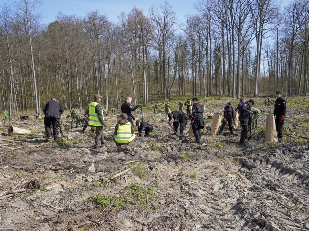 Grupa ludzi sadzi drzewa w lesie na Mazurach podczas wydarzenia z okazji Światowego Dnia Ziemi.