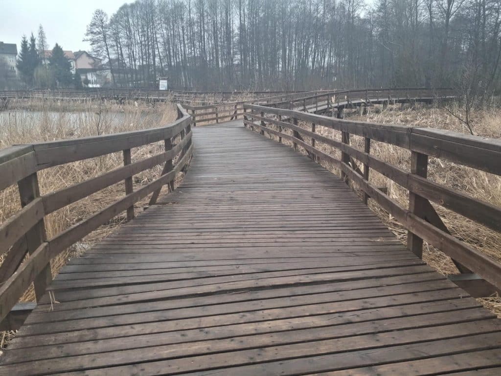 Drewniany molo nad jeziorem w trakcie rozbi&oacute;rki, widok na zniszczoną konstrukcję i otaczającą przyrodę.