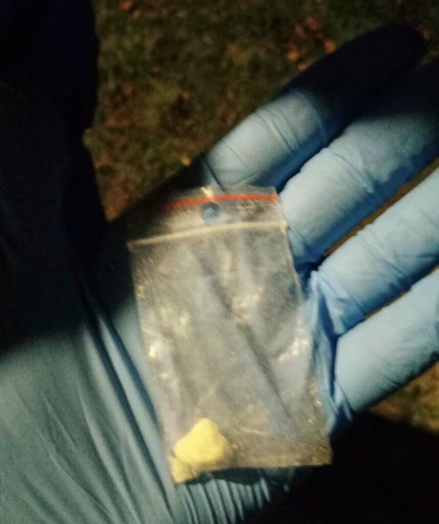 Zdjęcie z monitoringu pokazujące osobę trzymającą plastikową torbę w parku nocą.