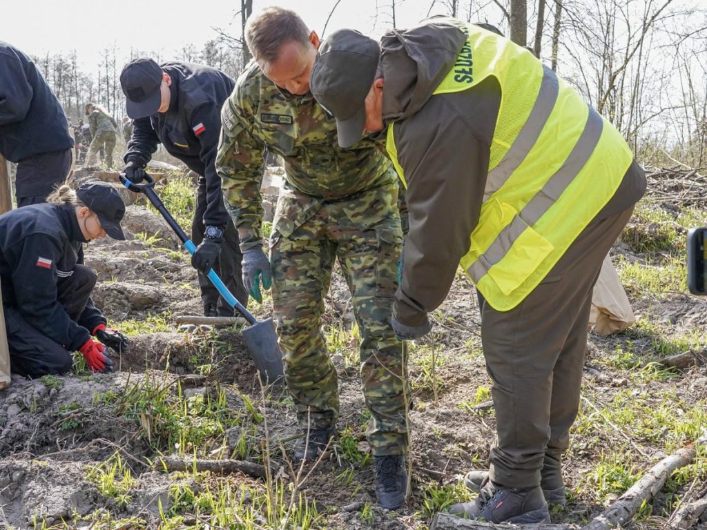 Grupa os&oacute;b sadzi drzewa w lesie podczas wydarzenia z okazji Światowego Dnia Ziemi.