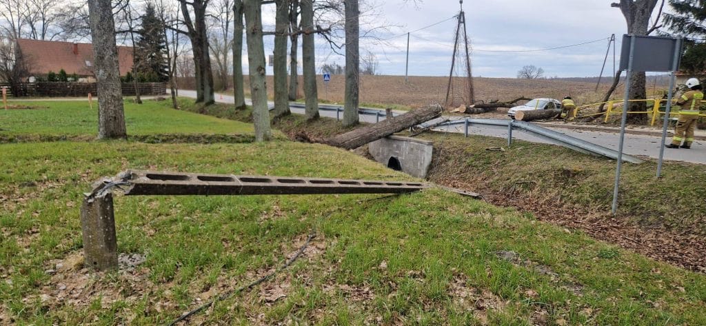 Przewr&oacute;cone drzewo na drodze, uszkodzony samoch&oacute;d i słup oświetleniowy, strażacy na miejscu zdarzenia.