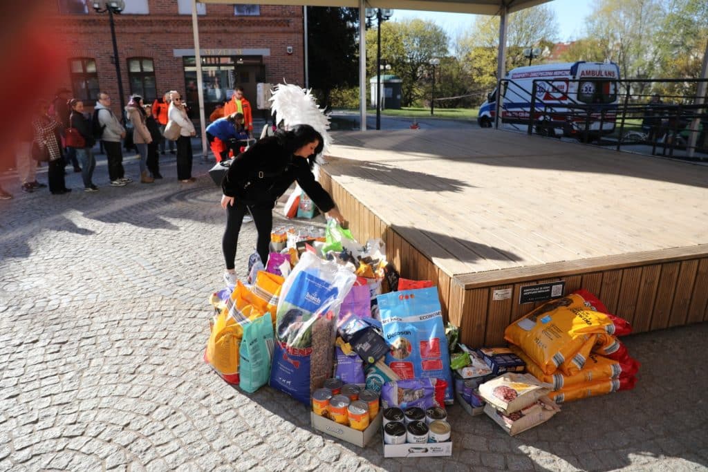 Mieszkańcy Olsztyna składają karmę dla zwierząt podczas upamiętnienia Łukasza Litewki na Targu Rybny.
