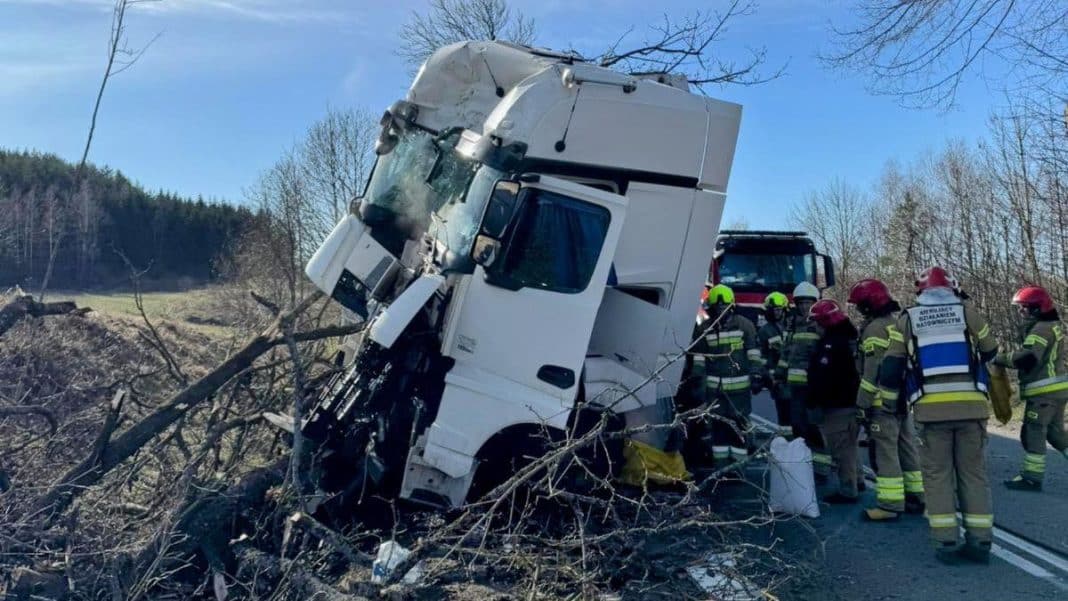 Ciężar&oacute;wka uderzyła w drzewo na drodze krajowej, na miejscu pracują strażacy.