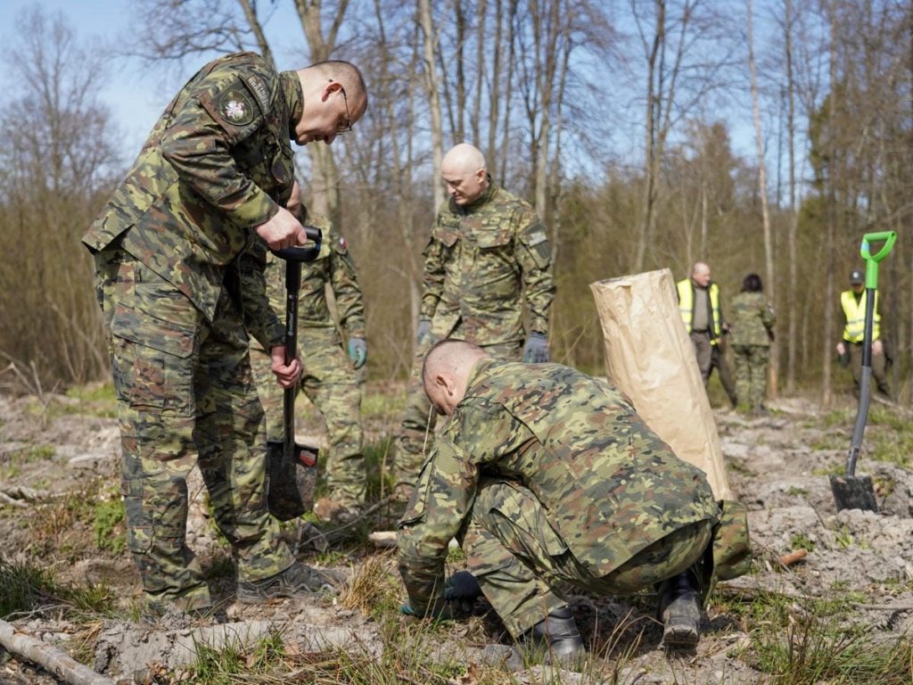 Żołnierze sadzą drzewa w lesie podczas akcji na Mazurach.