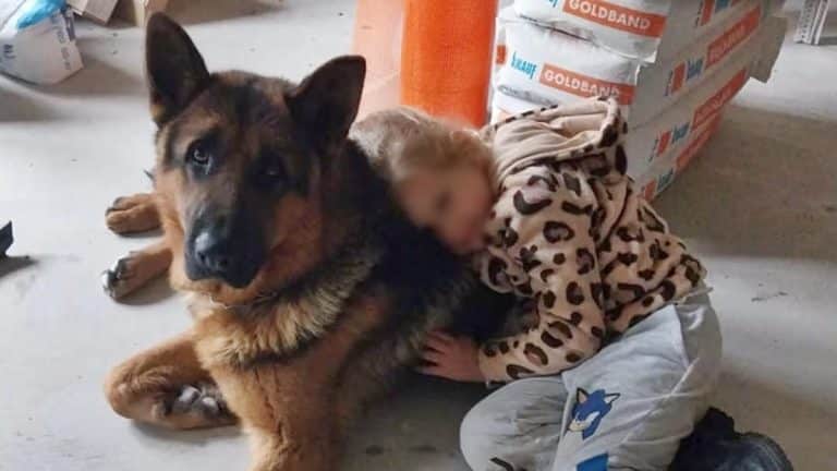 Dziecko przytula psa na podłodze w pomieszczeniu z kartonami i materiałami budowlanymi.