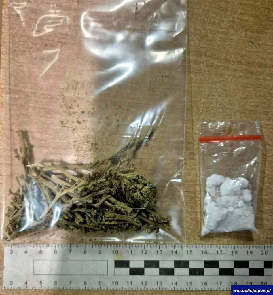 Na zdjęciu widoczny jest susz roślinny i biały proszek w plastikowych torebkach, na tle linijki i miarki.