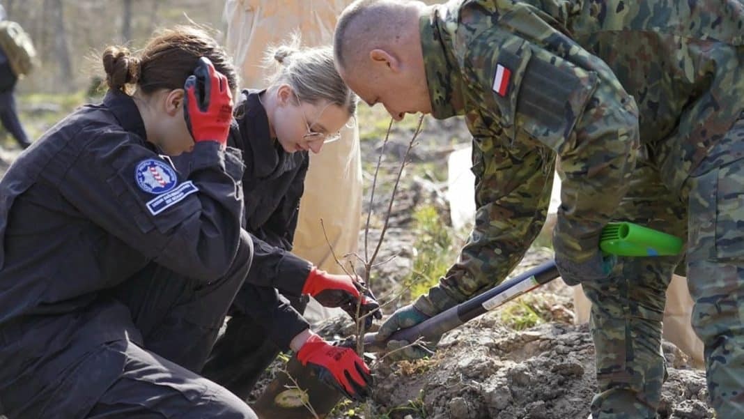 Uczestnicy sadzą drzewa podczas akcji w Wilczym Szańcu na Mazurach, w tle las i natura.