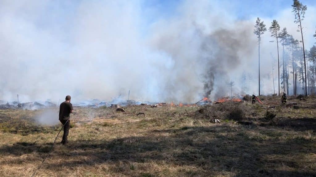 Strażacy gaszą pożar lasu na Mazurach, w tle widać dym i płomienie, na pierwszym planie osoba z wężem gaśniczym.