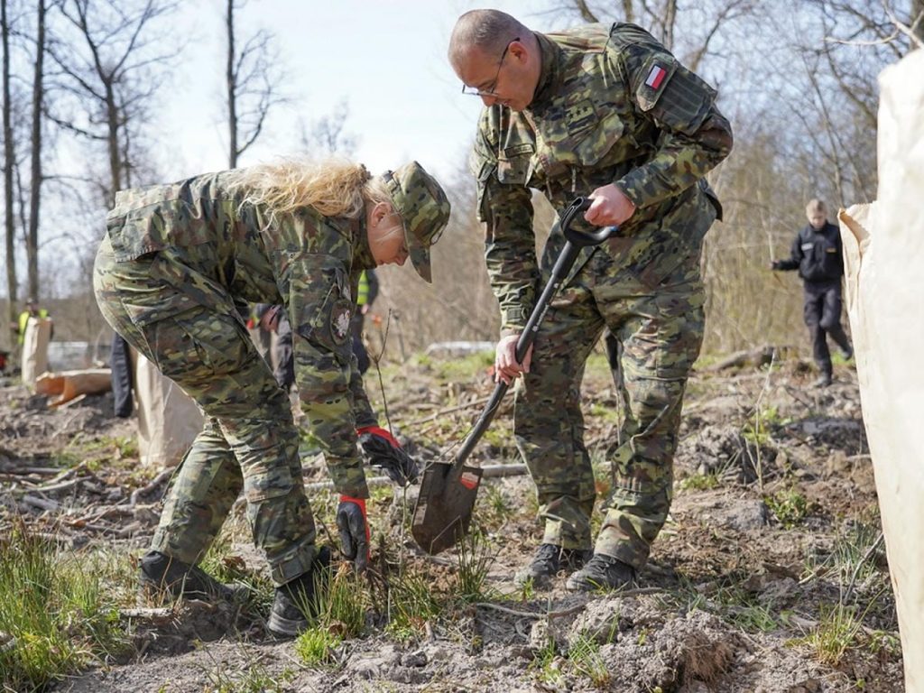 Strażnicy graniczni i leśnicy sadzą drzewa podczas akcji na Mazurach.