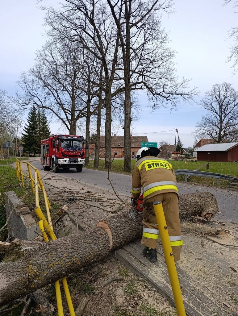 Strażak usuwa powalone drzewo na drodze, w tle samoch&oacute;d i słup oświetleniowy, w okolicy wiejskiej.