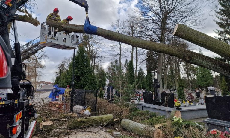 Strażacy usuwają powalone drzewo na cmentarzu po wichurach, w tle widoczne nagrobki i drzewa.