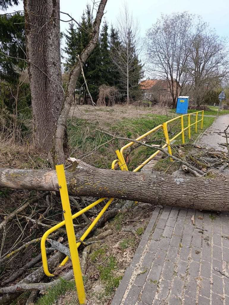 Przewr&oacute;cone drzewo na chodniku, zniszczony słup oświetleniowy i uszkodzony samoch&oacute;d po nagłym upadku.