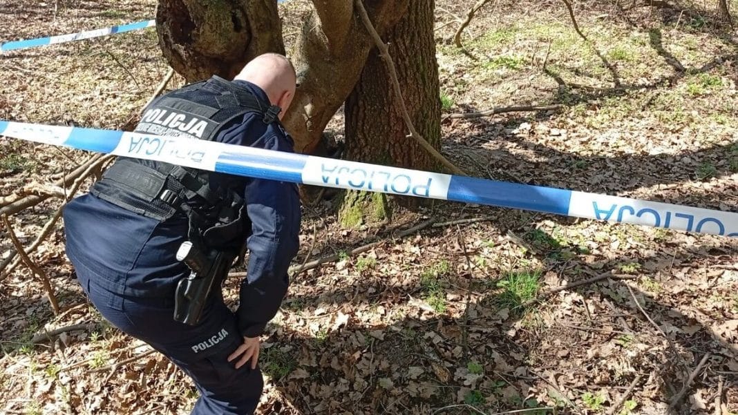 Policjant bada teren w lesie, zabezpieczając miejsce znaleziska podczas interwencji.