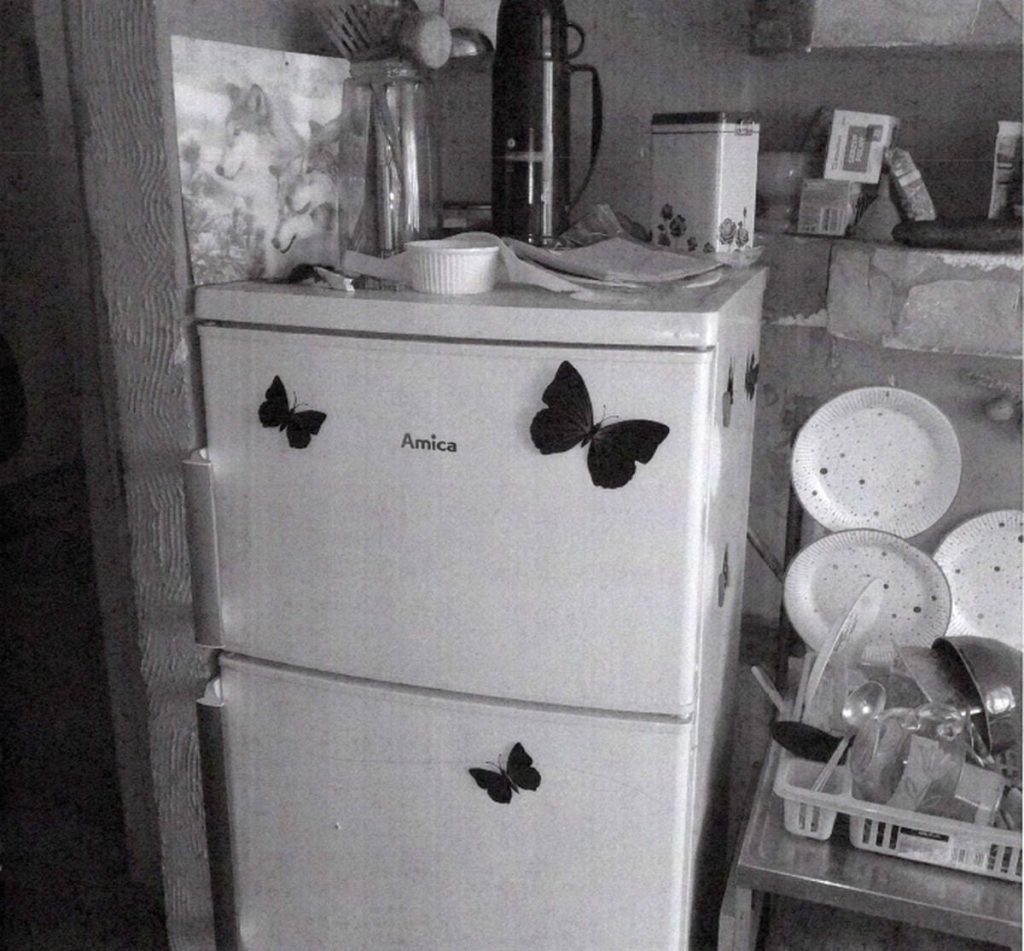 Zniszczony, zabałaganiony pok&oacute;j z lod&oacute;wką ozdobioną motylami, pełen śmieci i sprzętu kuchennego.