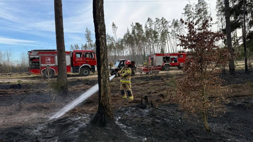 Strażacy gaszą pożar lasu na Mazurach, w tle pojazdy ratunkowe i spalone drzewa.