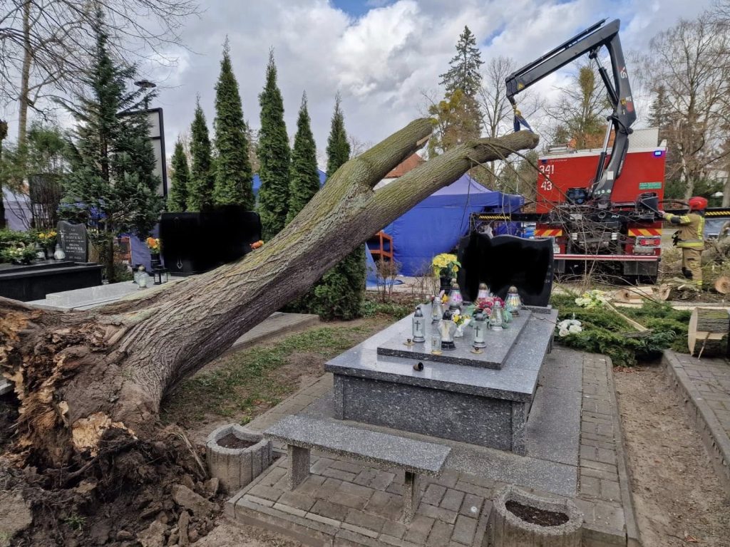 Przy grobie zmarłego drzewo przewr&oacute;ciło się, uszkadzając nagrobek, podczas interwencji strażak&oacute;w.