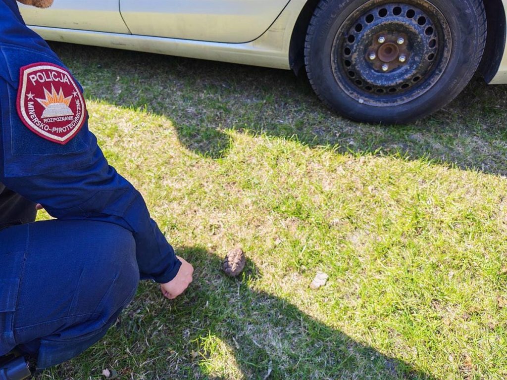 Policjant przy ziemi, obok samochodu, w trakcie zabezpieczania znaleziska w ogrodzie.
