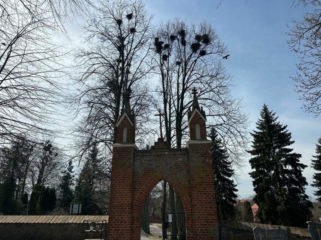 Brama cmentarza w Jezioranach otoczona drzewami bez liści, na niebie widoczne ptaki w locie.