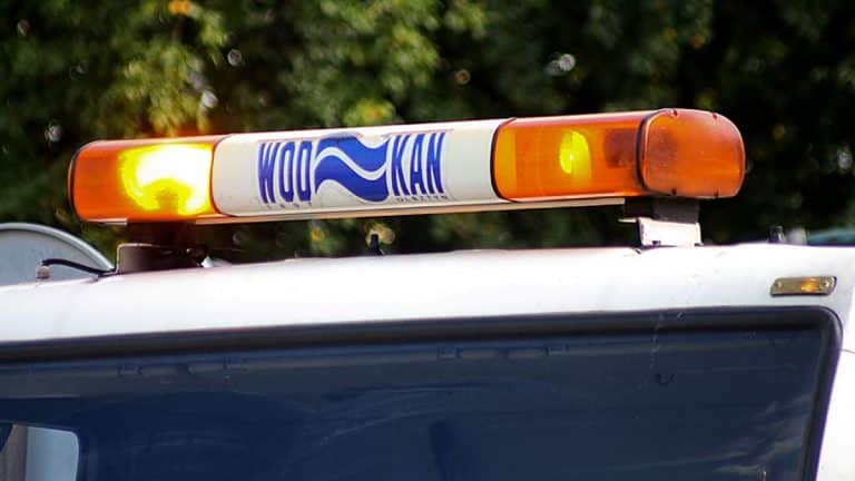 Niebieski i biały samoch&oacute;d z sygnalizatorem ostrzegawczym na dachu, na tle zielonych drzew.