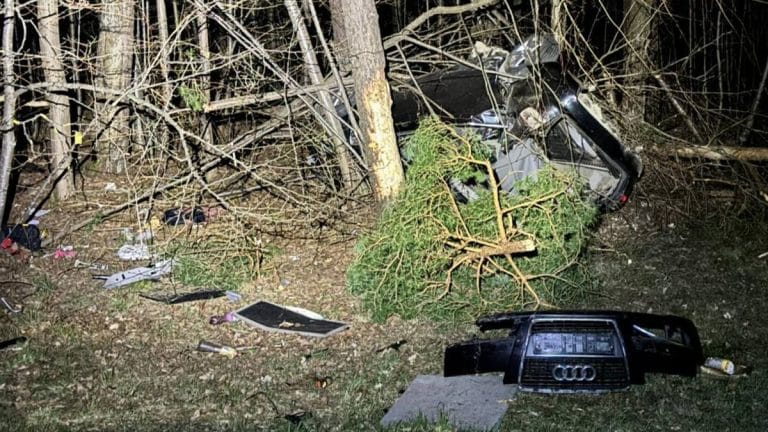 Rozbity samoch&oacute;d w lesie, wok&oacute;ł porozrzucane części i gałęzie, brak kierowcy na miejscu.