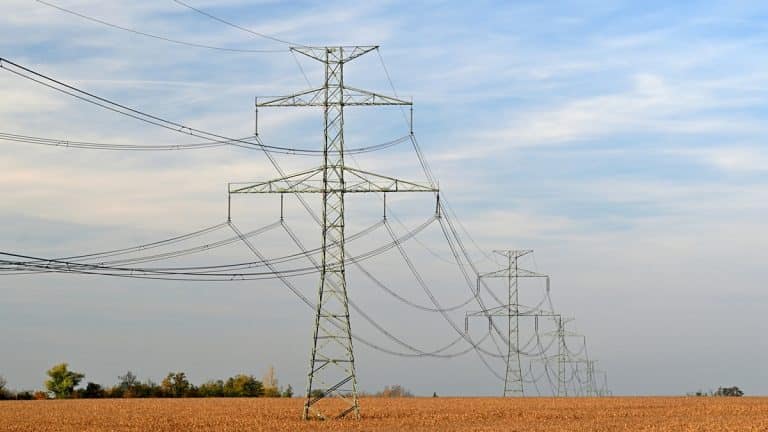 Widok na linie wysokiego napięcia na polu z drzewami w tle, pod niebieskim niebem z chmurami.
