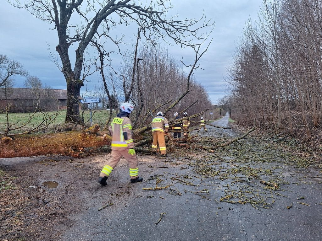 Strażacy usuwają powalone drzewa z drogi po wichurze w regionie.