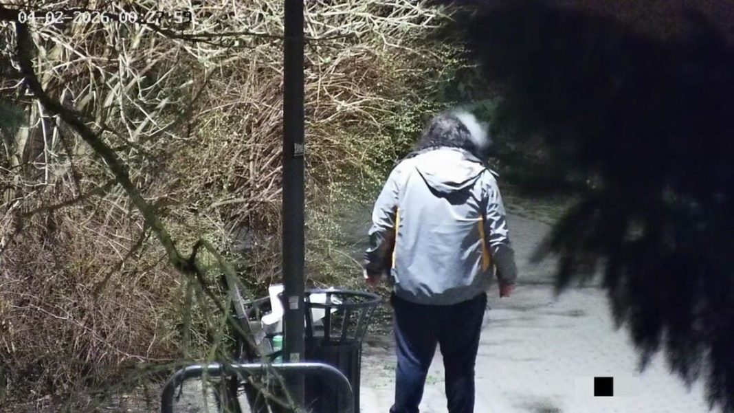 Mężczyzna spacerujący nocą w parku, widoczny z tyłu, w otoczeniu drzew i oświetlenia ulicznego.