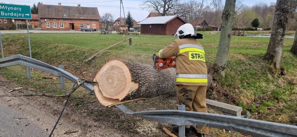 Strażak przecina powalone drzewo na drodze, usuwając je po silnym wietrze.