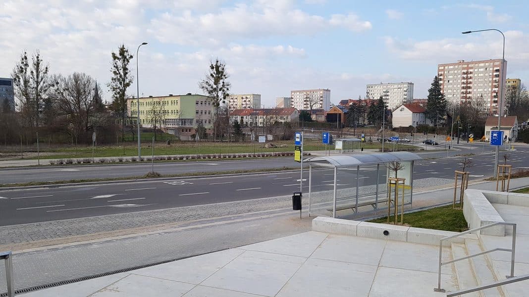 Widok na ulicę z przystankiem autobusowym i nowymi nasadzeniami drzew, w tle bloki i budynki mieszkalne.