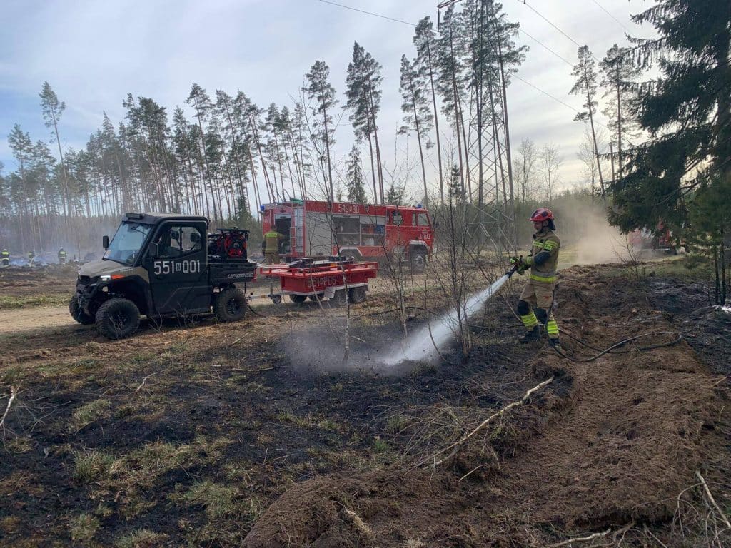 Strażacy gaszą pożar lasu na Mazurach, w tle drzewostan i słupy wysokiego napięcia.