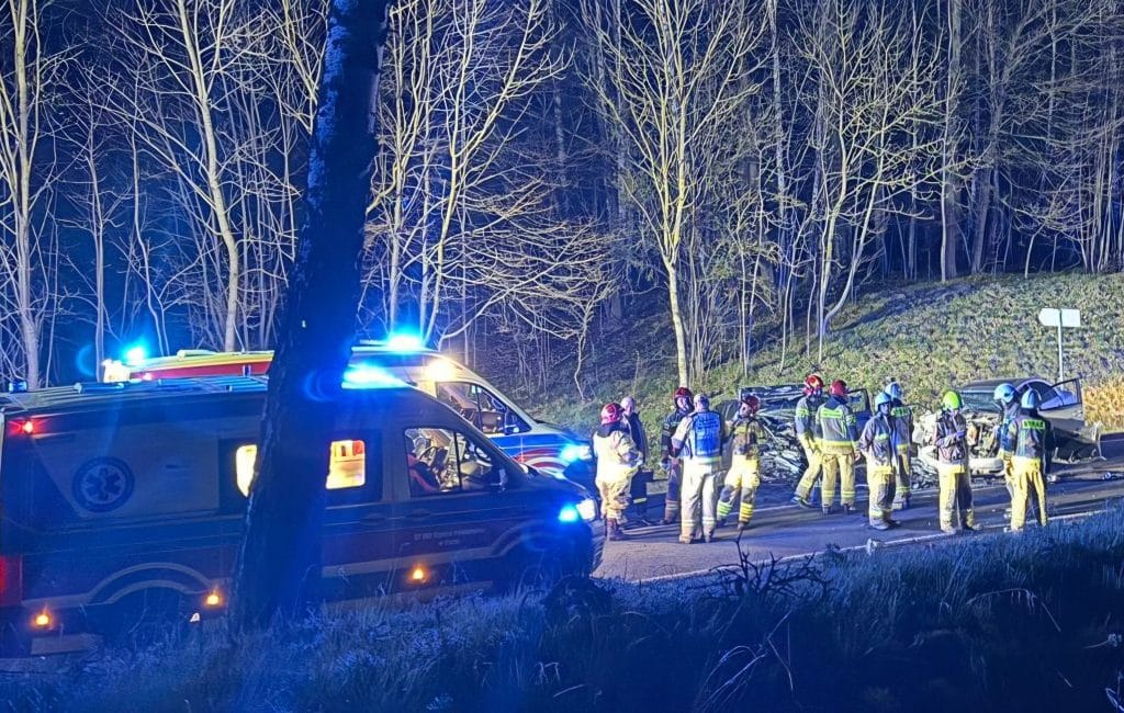 Akcja służb ratunkowych przy miejscu wypadku na drodze krajowej, w tle drzewa i nocne niebo.