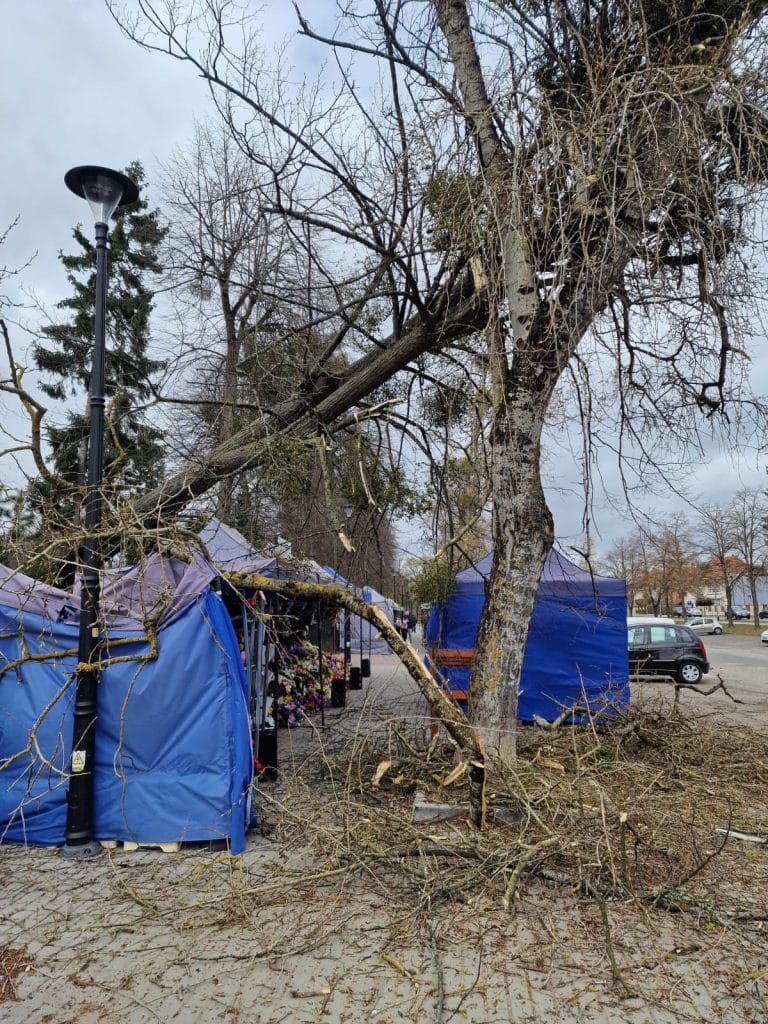 Przygnieciony drzewem namiot na placu, po wichurze w regionie.