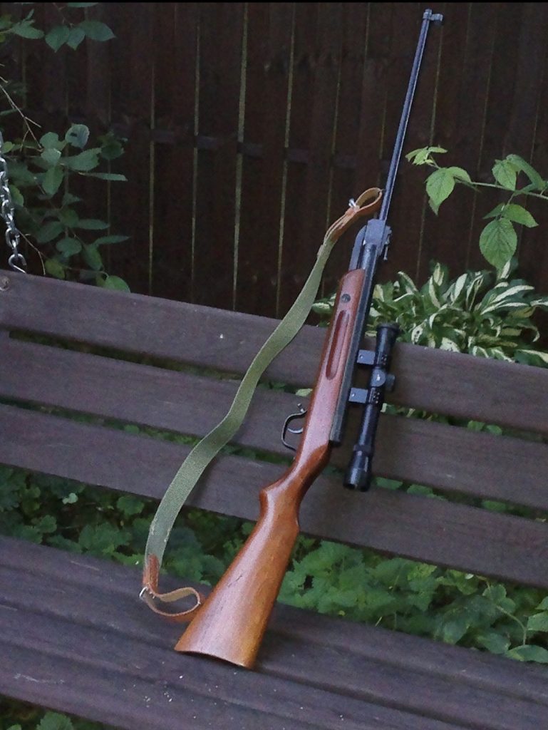 Karabin na ławce, obok roślin, w tle drewniany płot.