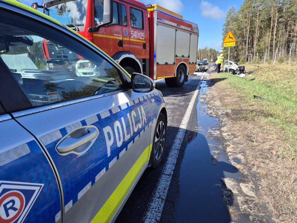 Wypadek na drodze krajowej z dwoma spłoniętymi samochodami i służbami ratunkowymi na miejscu.