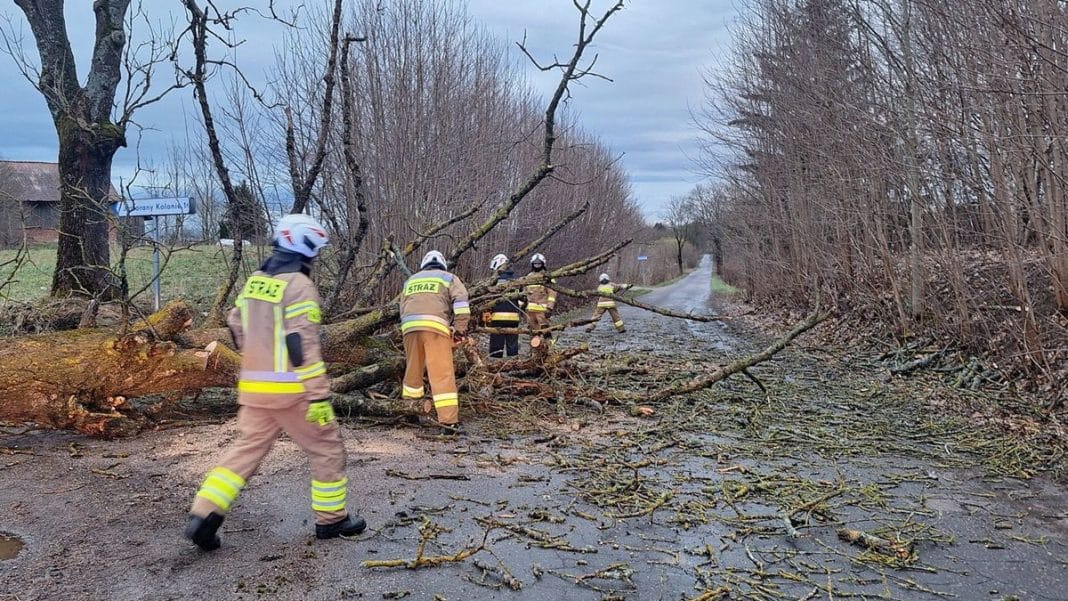 Strażacy usuwają powalone drzewo z drogi podczas silnego wiatru na Warmii i Mazurach.