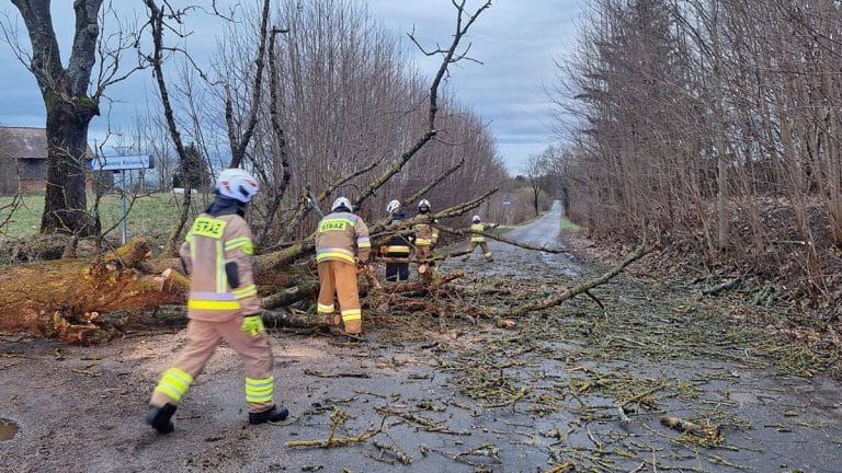 Strażacy usuwają powalone drzewo z drogi podczas silnego wiatru na Warmii i Mazurach.